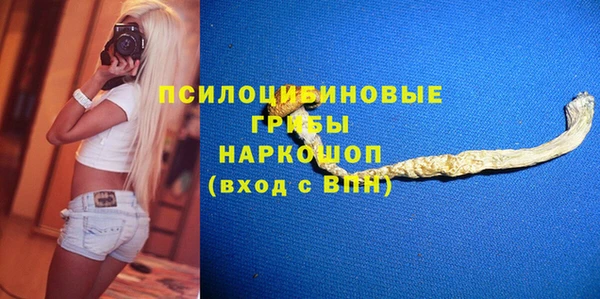 индика Белоозёрский