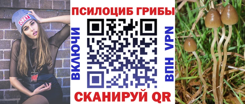 магазин продажи   Игра  mega ONION  Псилоцибиновые грибы GOLDEN TEACHER 
